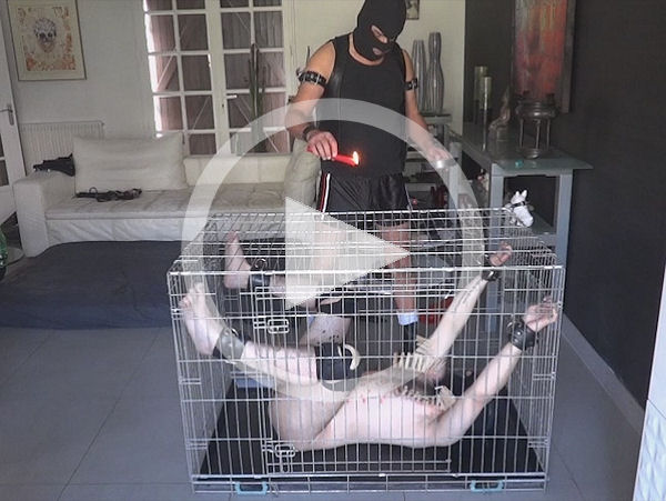 Click to Watch Video